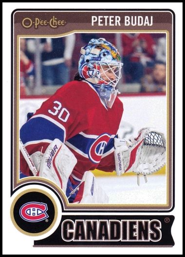 231 Peter Budaj